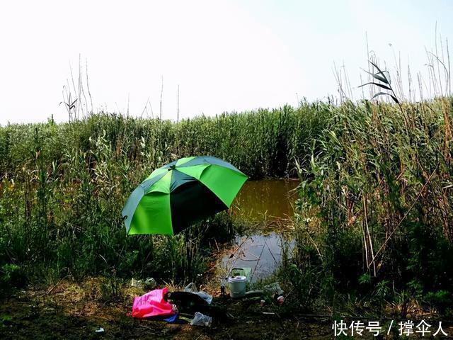 鱼儿如何寻找越冬地点,天气再冷也能爆护---皇禾钓具