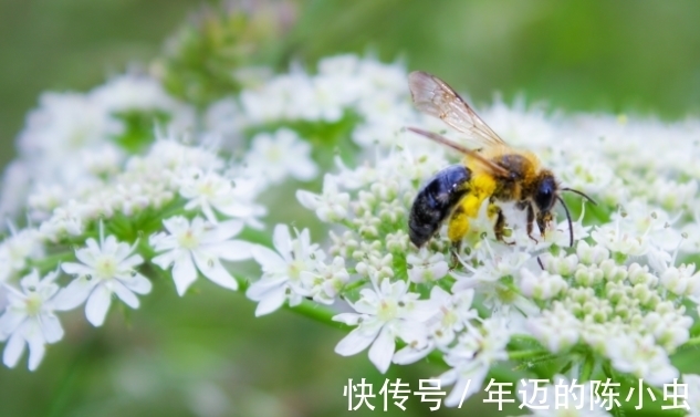 天秤座|十一月初，财神报到，好运挡不住，存款翻倍涨的星座