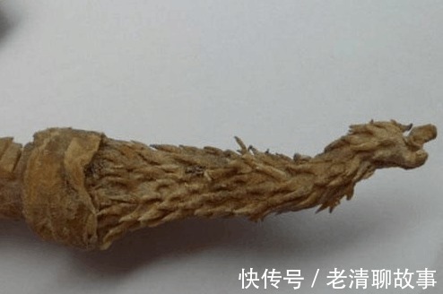 虎鞭酒|虎鞭不止大补价值非凡