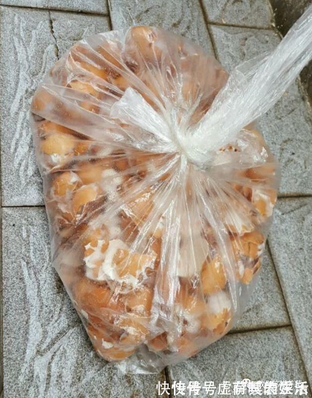 养花|老花匠:扔4种“东西”,就是扔钱,比花肥还好用,不花钱!