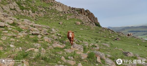 楼主|观石条山、吃手把肉 北京周边避暑好去处---内蒙古太仆寺旗暑期游记