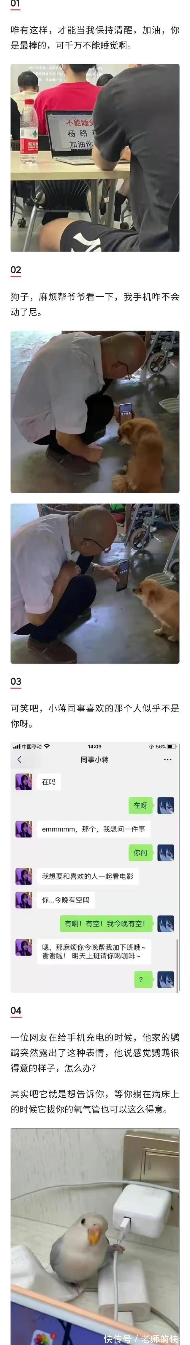 |搞笑图集：如果你感觉自己压力很大，那么请看一看这位车主