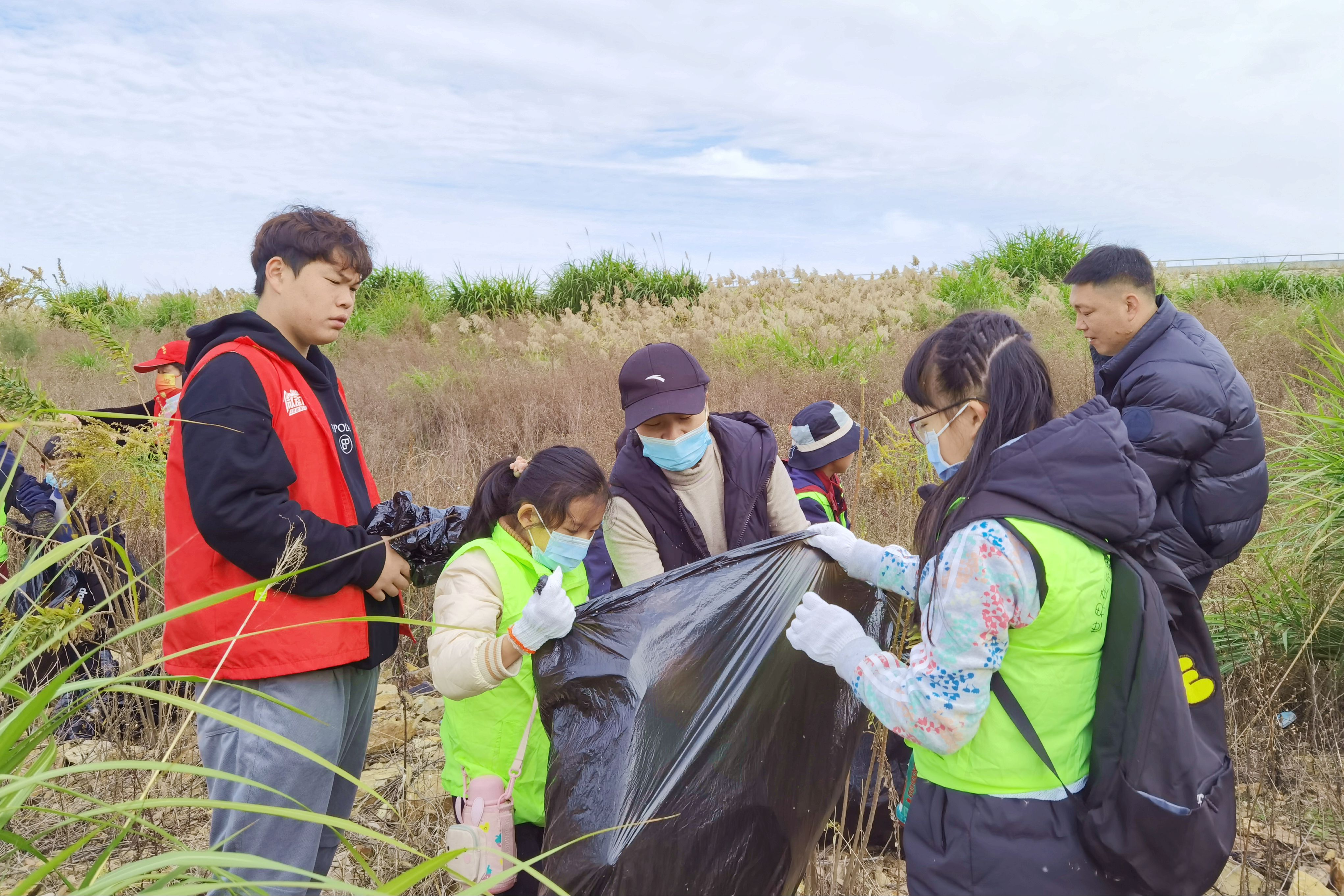 洞头|“守卫洞头植物多样性 清除加拿大黄花”公益环保活动在行动