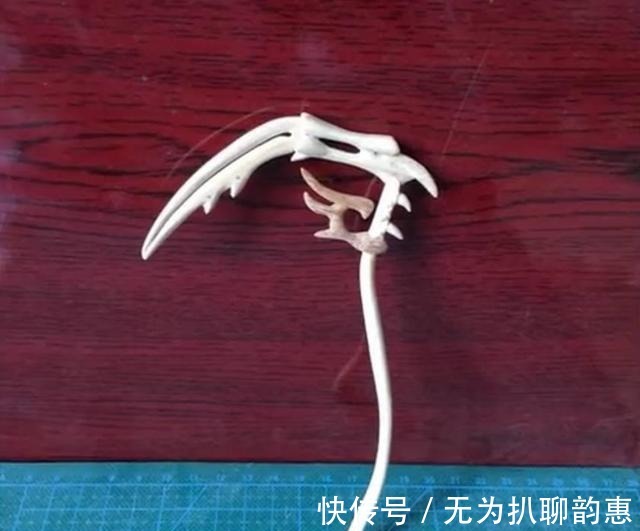 王者榮耀|圖文教程 一次性筷子制作王者榮耀白起 死神之鐮