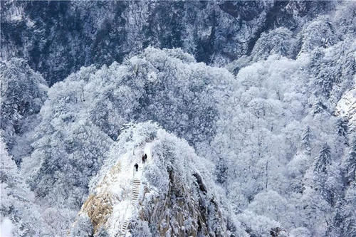 老君山|美炸了! 仿若天上宫阙, 雪后老君山雾凇云海, 琼楼玉宇美成仙境