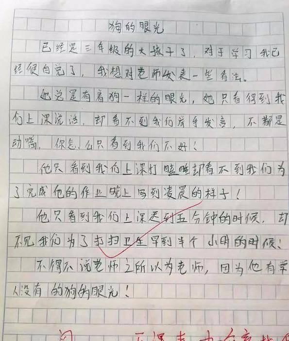 内心|小学生作文《狗的眼光》，老师忍住内心愤怒，老师我真的心寒啊