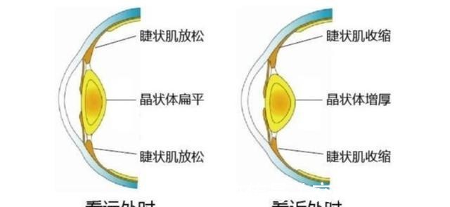 gl个人头显怎么选，GOOVIS头戴影院打破你对VR产品的认识！