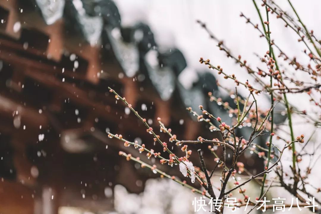 诗词!岁月沧桑,8句诗词,感受古人的人生领悟!