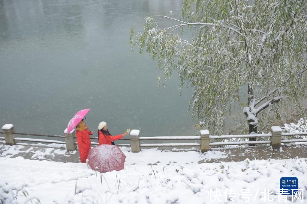 秭归县|全国多地迎降雪