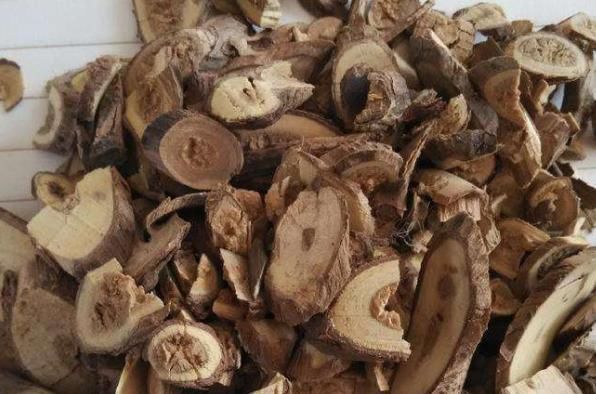 刺五加|中药刺五加有哪些功效,宁得一把五加,不用金玉满车