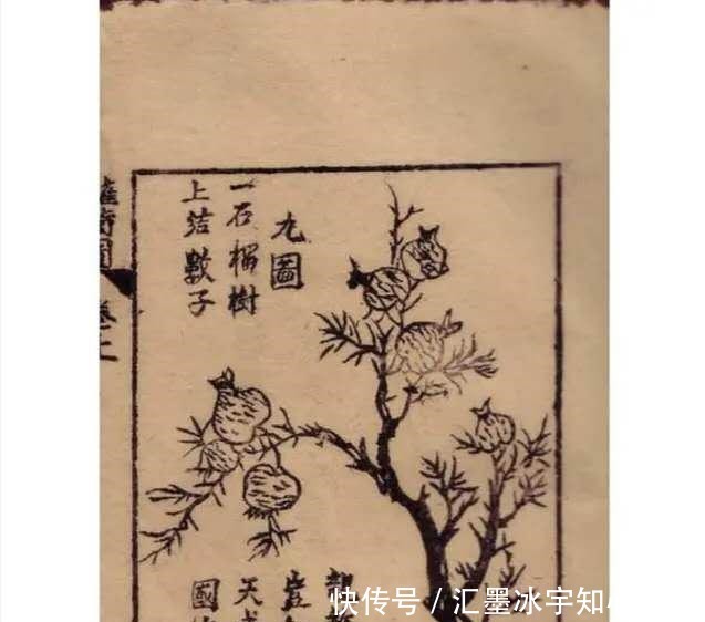 奇书|家有一本奇书实在看不懂