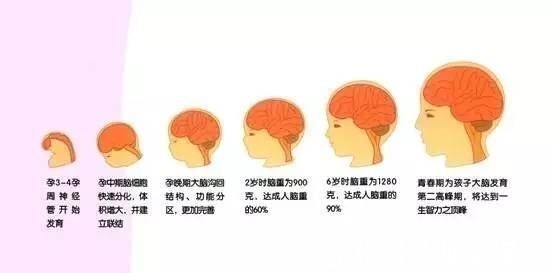 睡眠时间|娃睡前一小时,家长做到“4坚持3避免”,让孩子聪明自信长更高