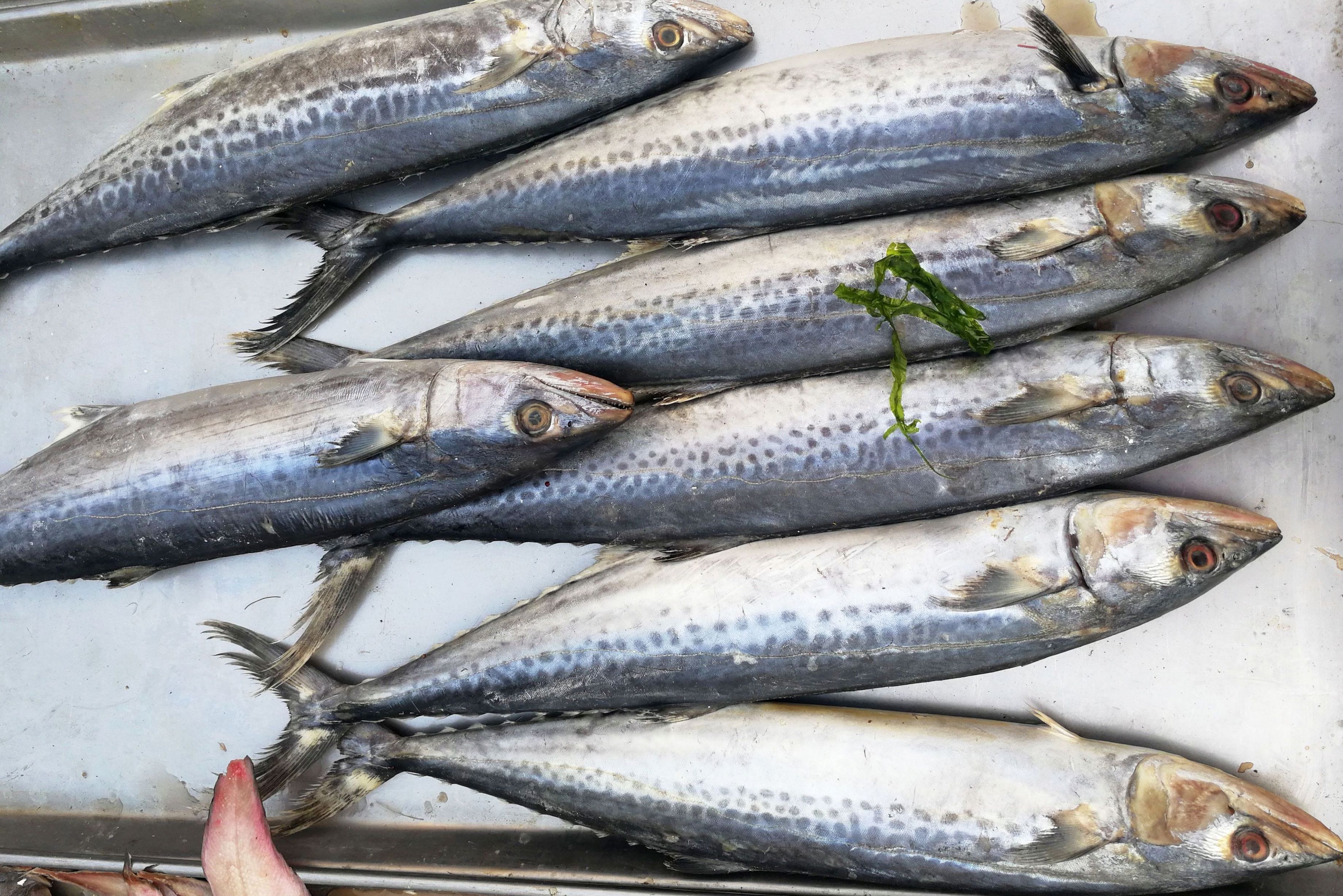 海鱼|喜欢吃鱼,推荐买这4种,目前不能人工养殖,肉质新鲜营养,好吃