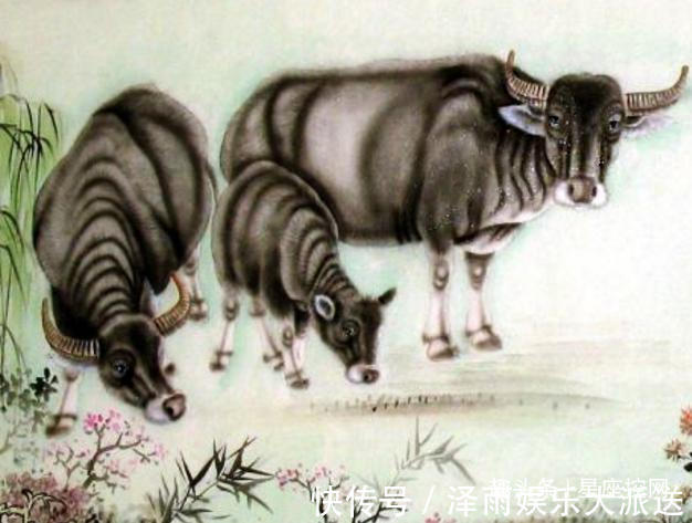 才子|孩子是这3属相,小时是孝子,长大是才子,一直在给父母争光