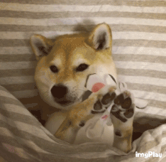 医疗|在家刷酸能刷出“妈生好皮肤”？当心脸烂到妈都认不出