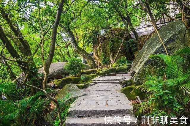 景色|全国唯一的金丝楠木寺院，依山傍海壮美景色，海内外游客慕名到此