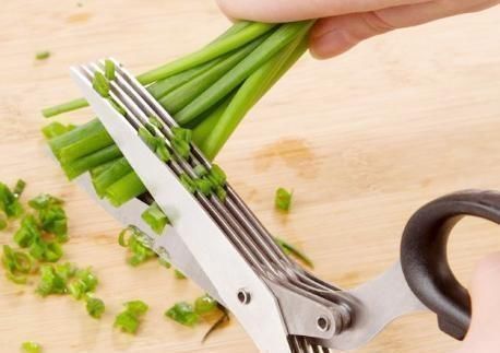 韭菜|此菜常会被人扔掉不要，我却用来炒鸡蛋吃，比韭菜还要香，特鲜