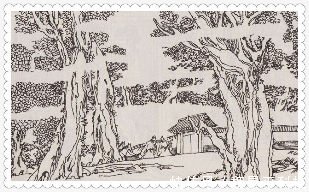 奴家#新聊斋猎户山中杀大蛇,救一漂亮女人,成亲前才知她非人类