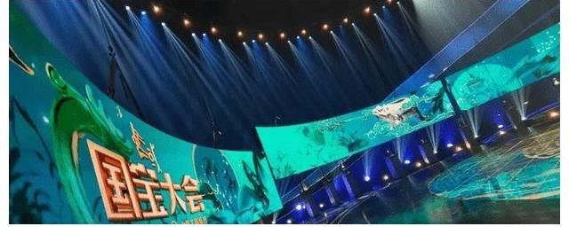 財經|龍洋再挑央視“大會”主持重任，與謝穎穎兩代當家花旦同框比美