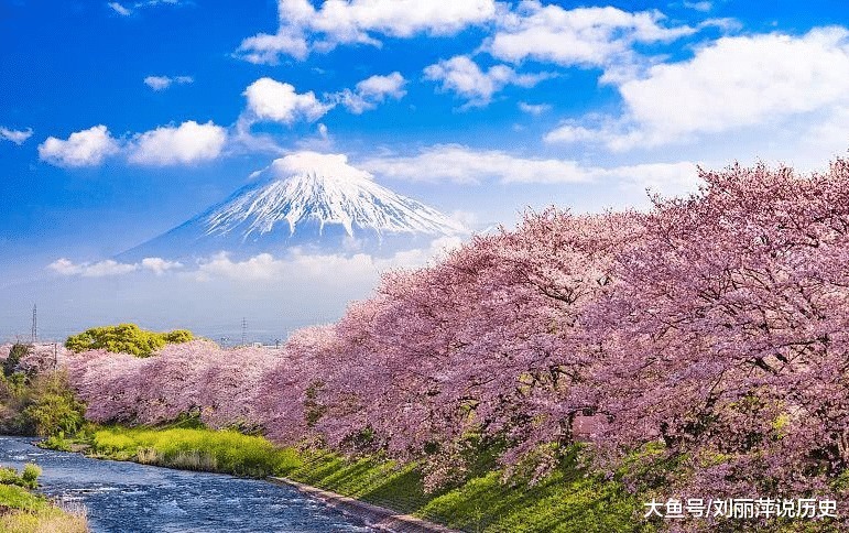 你敢相信日本富士山居然是租的、每年都需要支付高额租金