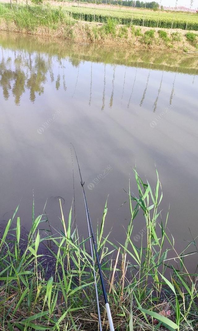 风向|天刮西南风气死老钓翁野钓风向对鱼获影响知多少