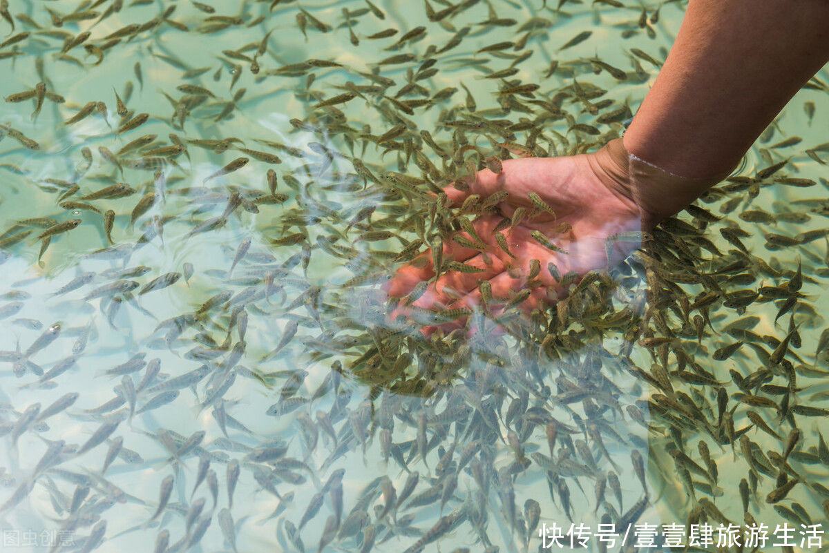 承德|河北承德隆化枫霖枫水湾森林温泉城，给你一个爱“泡汤”的理由