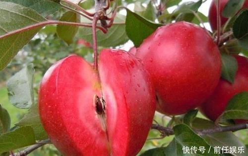 气色|身体好的人都会吃,坚持吃几类食物,消除水肿,改善便秘,气色好