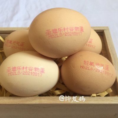 卵磷脂|#2021创意料理组——创意“食”光#香葱肉松咸口蛋糕