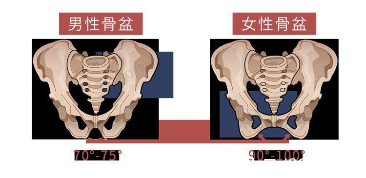 秘密|男人的乳头有啥用？让男性害羞的6个身体秘密，一个比一个尴尬