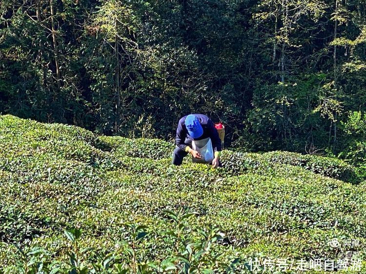 石潭|自驾安徽歙县，徒步游览安徽歙县石潭的美景