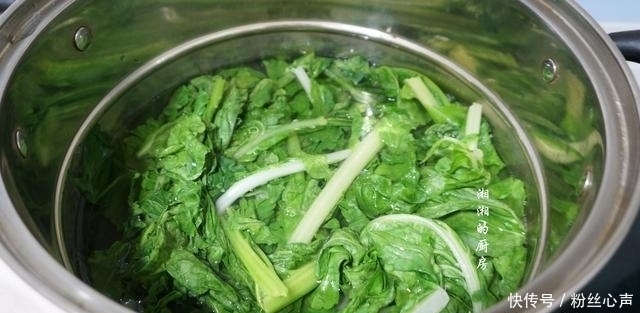 叶子|菜地里捡了2把叶子,富含膳食纤维,焯水一炒,简单营养又解馋