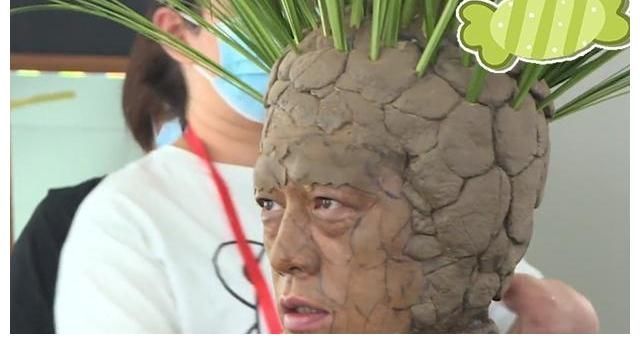 |《牛气满满的哥哥》首播告捷!嘉宾出场太搞笑,又是下饭综艺