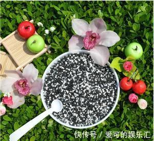 养花不会施肥,那你需要看看这个,为你的花选对肥