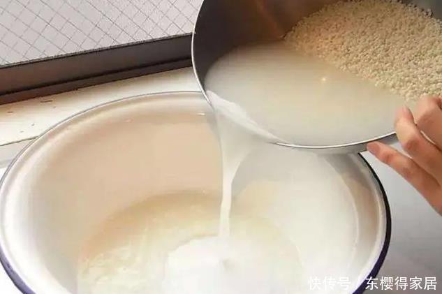  种水|养花不能用的3种土、4种水，不利于花卉生长，啥花都养不久