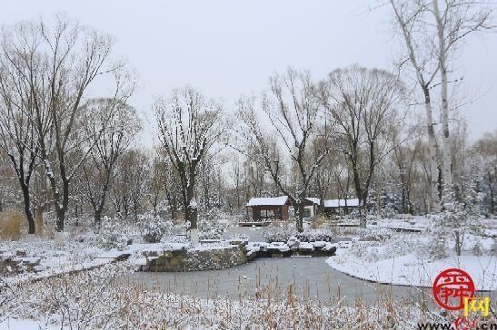 雪后植物园天地一色宛如“童话世界”