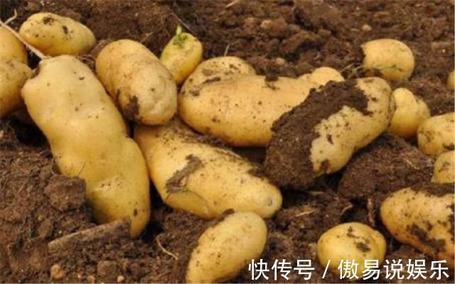 无花果|体重超过100斤的女人，3种“碱性食物”要多吃！体重蹭蹭下！