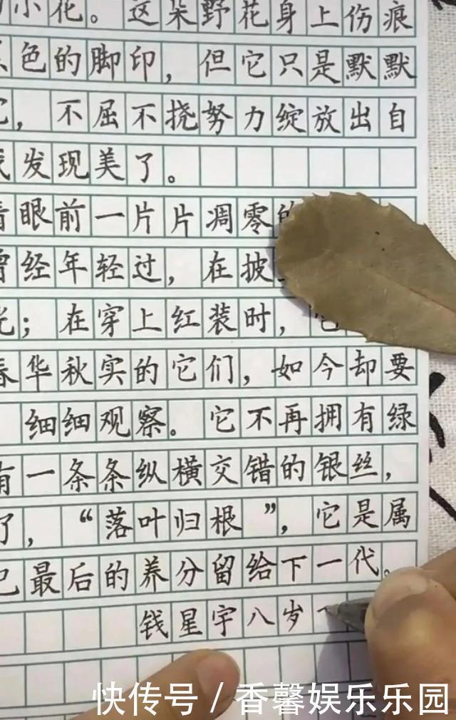 字迹！8岁男孩写“神仙字迹”，爆红网络圈粉百万，网友：未来书法家