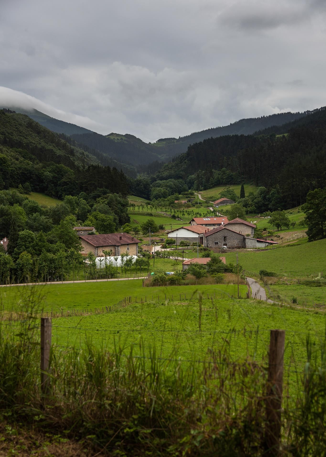 《卡门》，好看的小说 略微另类的梅里美