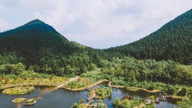 自驾游|周末自驾游，走进遂昌森林氧吧，夏日避暑之地