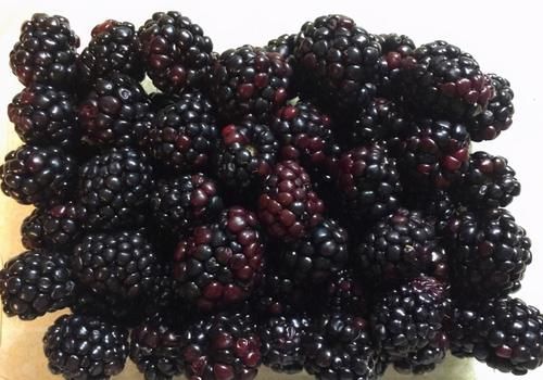 美容养颜|夏天不妨多吃3种食物，排毒祛湿，保养肌肤，延缓衰老