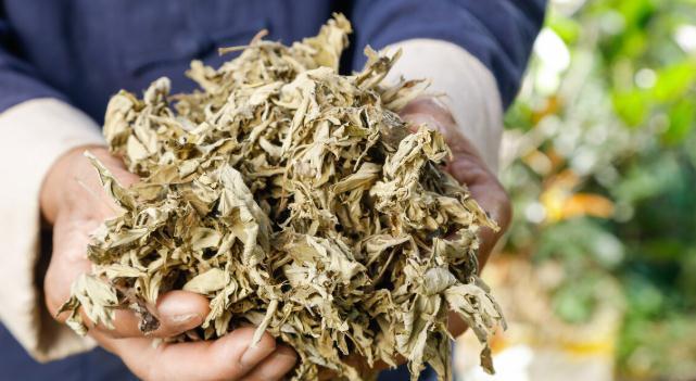 浴足|洗脚水里加4样东西，小病跑光光！懂中医的人都这么泡