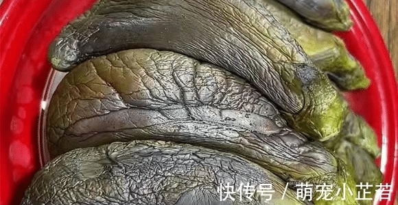 这食材正当季，不晒也不腌，蒸一蒸存到冰箱，冬季炒肉炖汤真美味