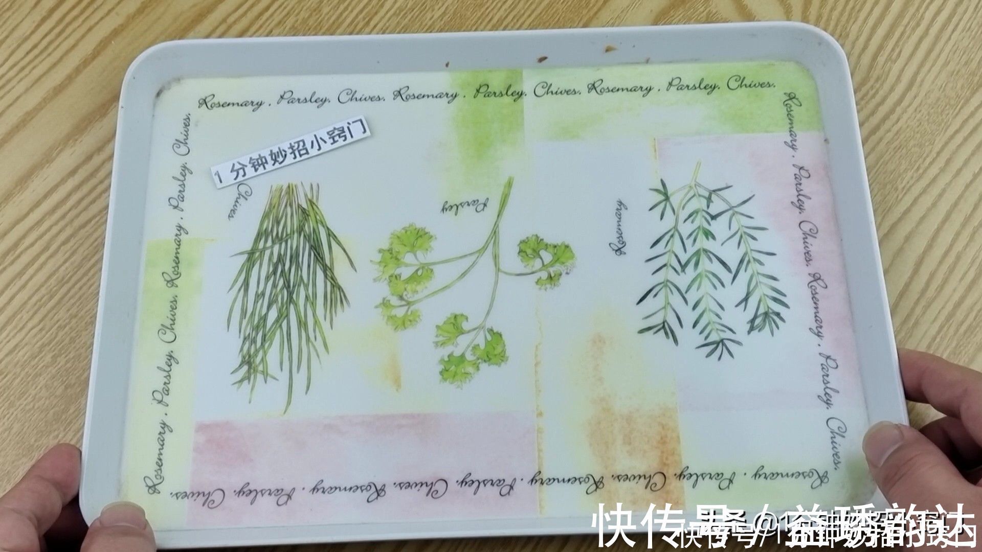 盘子|饺子包好不可直接放冰箱,学会正确方法,饺子跟新包的一样新鲜