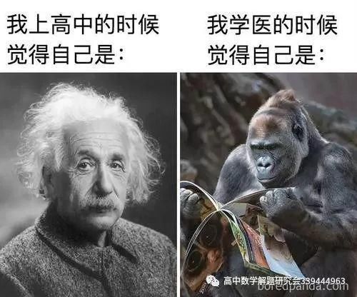 考完语文|数学不好的人都懂的，哈哈哈