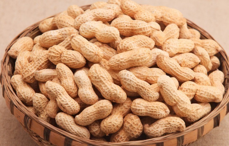 花生|营养师煮花生时不能放此物，吃了就是没病找病，现在知道还不晚