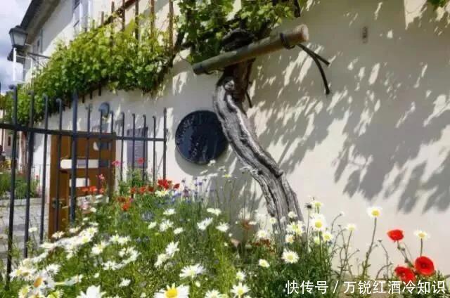 NO|NO.344 酒界吉尼斯世界记录,第四个也太萌了吧~