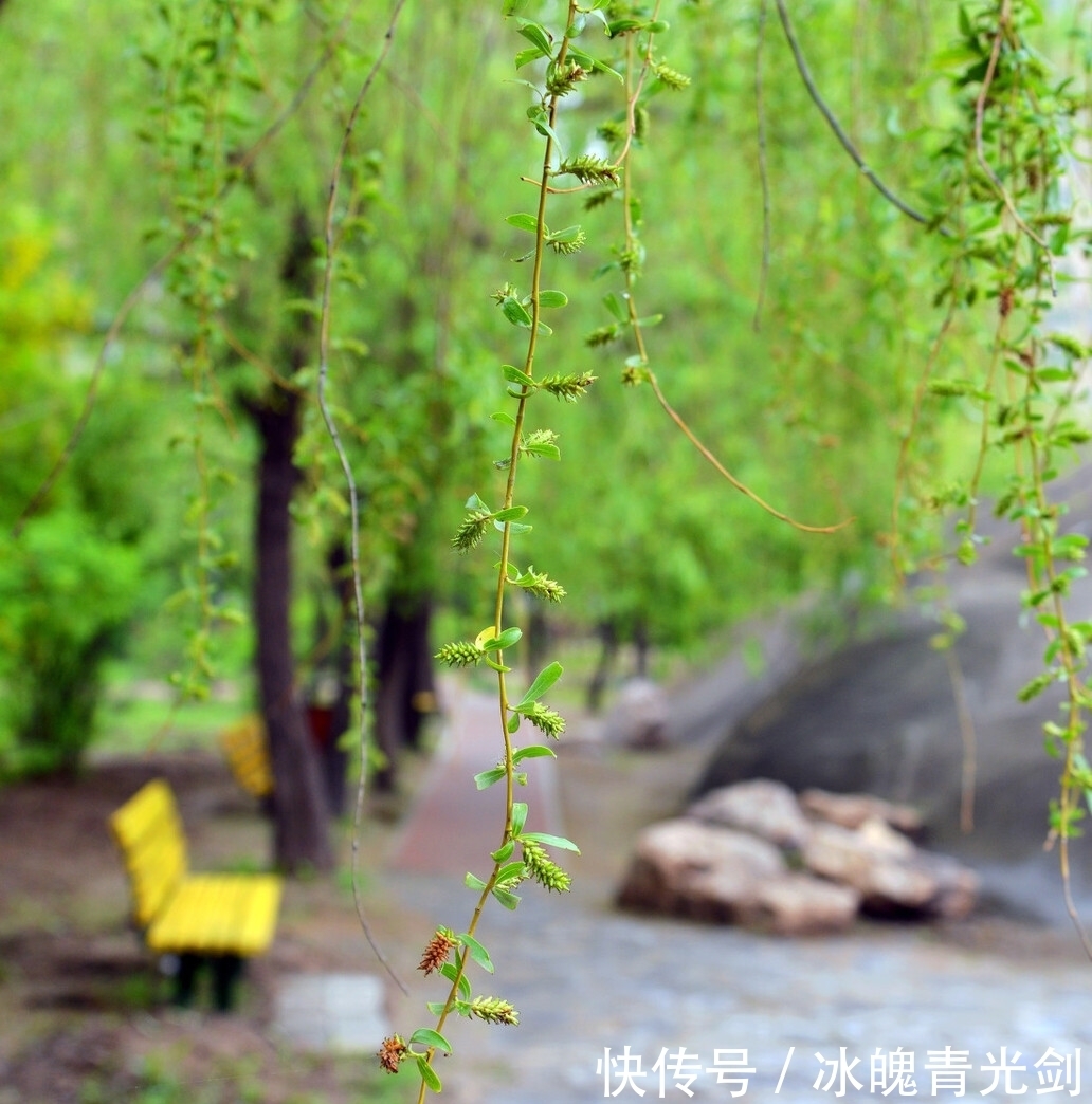 如花在野@一种温柔细腻,探入心底的纯粹,融入心灵的暖意疗愈