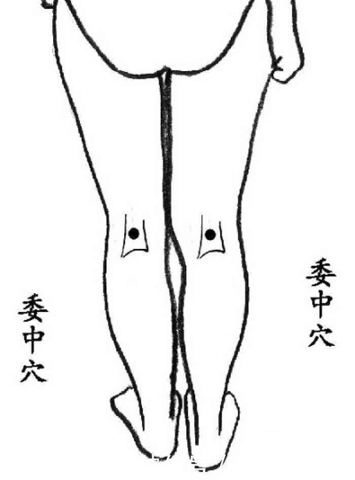 一条线|华佗松筋健康法夹脊穴养护心肝脾肺肾,比膀胱经的作用更明显