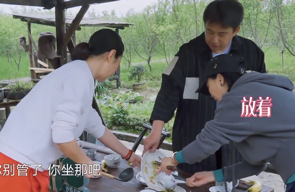 干活|蘑菇屋种树, 那英随口一句话是对陈赫李诞的最大讽刺!