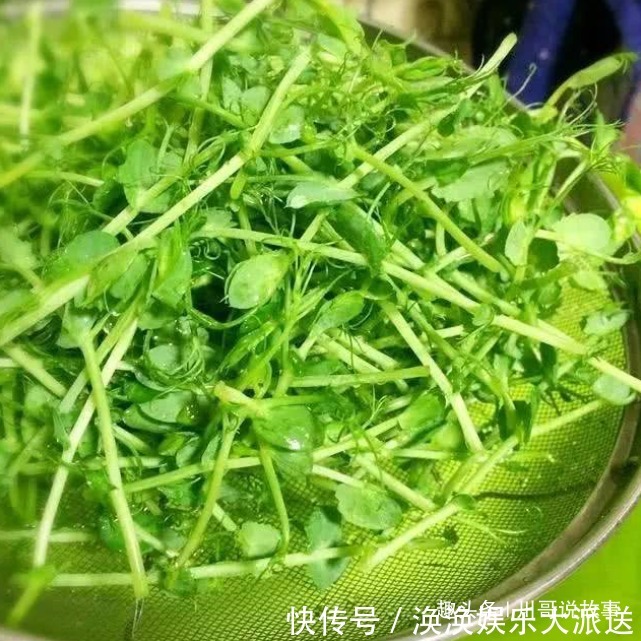 豌豆|近视最怕这菜，和鸡蛋一起煮汤，视力变清晰，双眼明亮，越喝越瘦